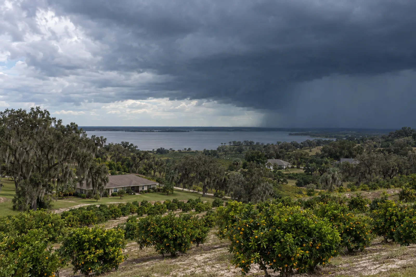 Citrus groves and ranch homes on the Lake Wales Ridge under an approaching hurricane rain band